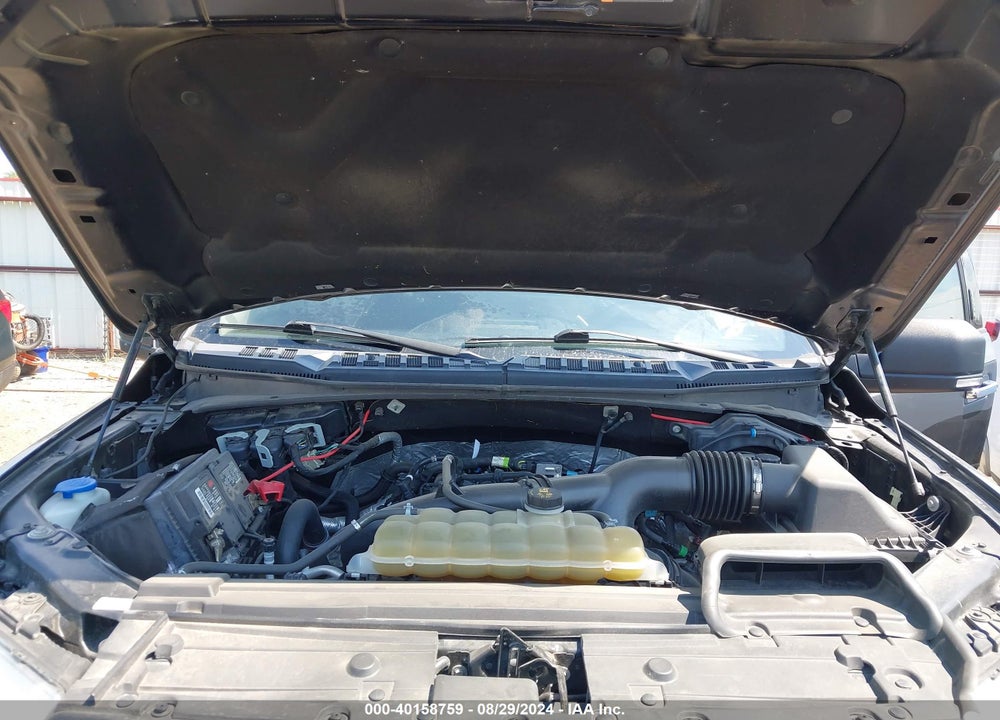 2019 FORD F-150 XLT VIN: 1FTEW1EP4KKD88924
