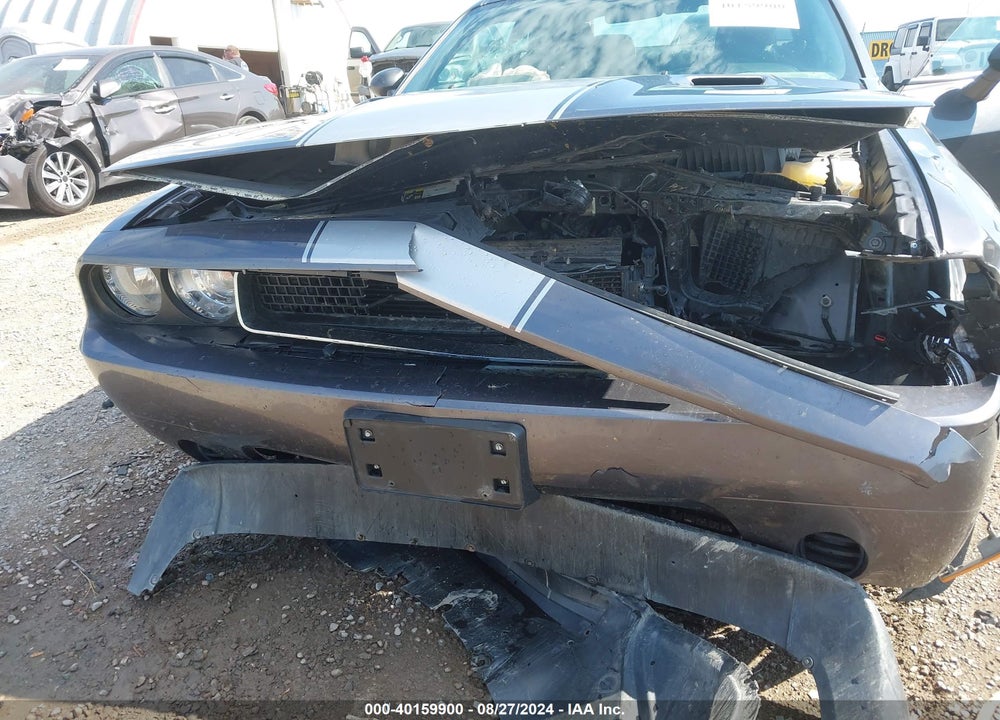 2013 DODGE CHALLENGER SXT VIN: 2C3CDYAG5DH607674