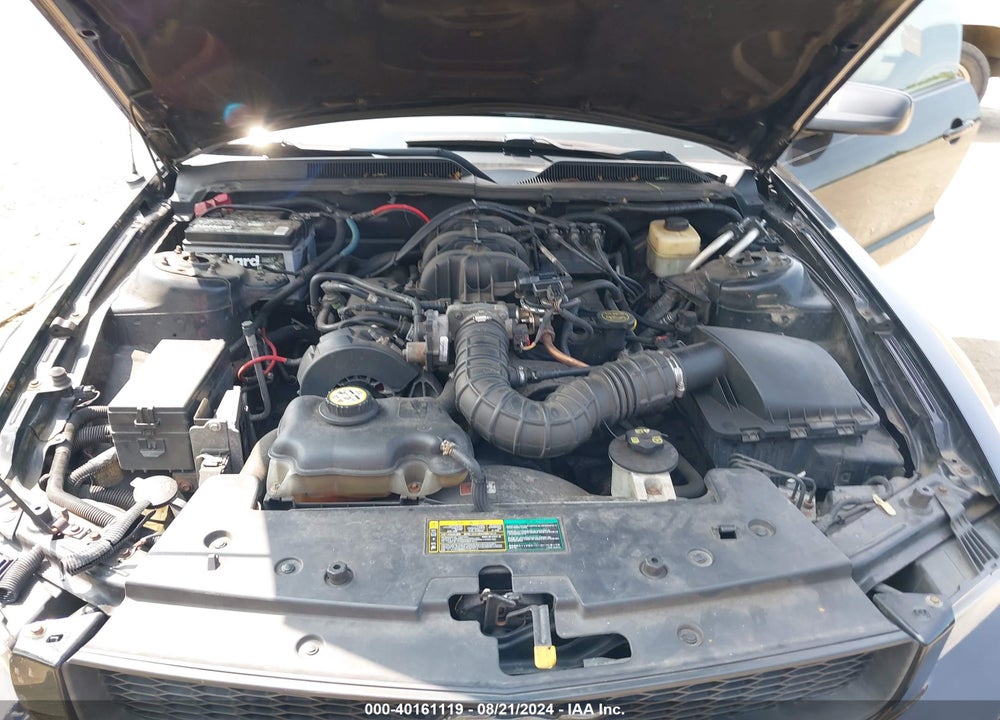 2005 FORD MUSTANG V6 DELUXE/V6 PREMIUM VIN: 1ZVFT80N155117671