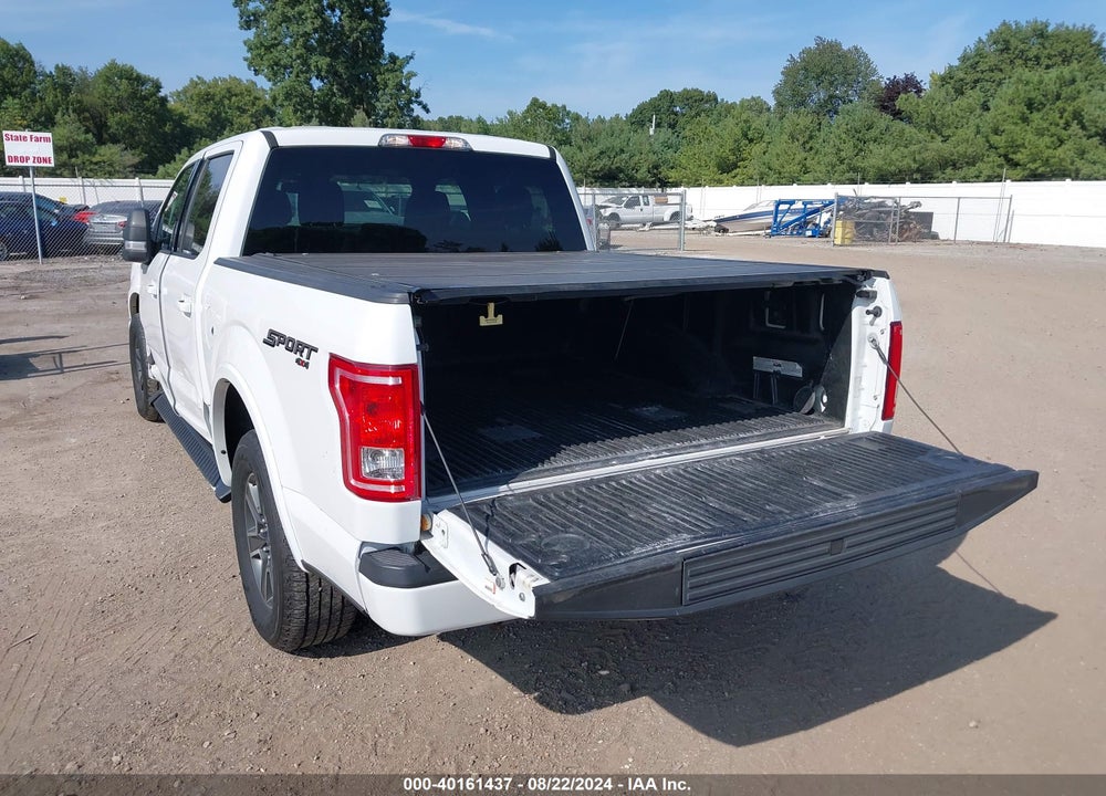 2016 FORD F-150 XLT VIN: 1FTEW1EP4GFC33239