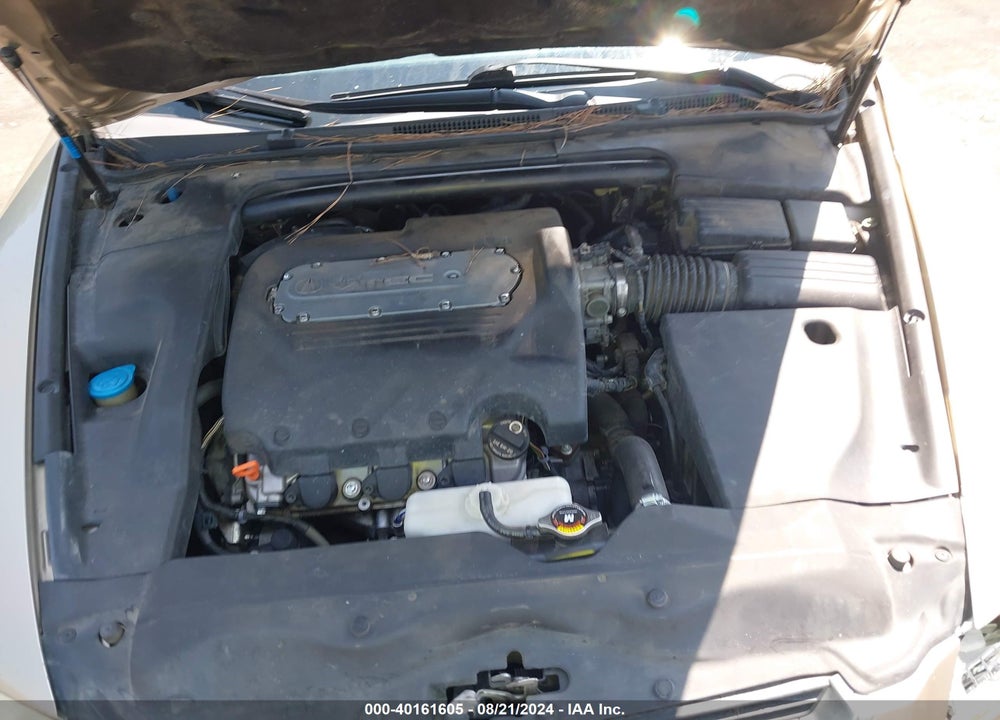 2006 ACURA TL VIN: 19UUA66216A064644