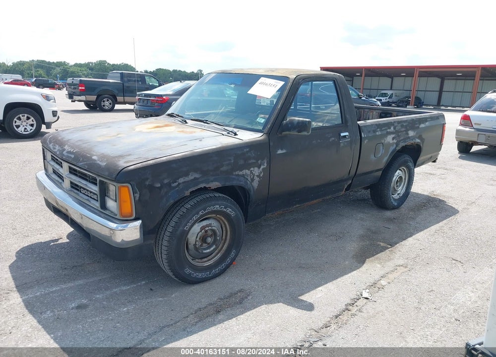 1989 DODGE DAKOTA VIN: 1B7FL16G4KS040679
