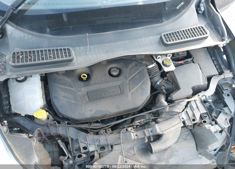 2014 FORD ESCAPE SE VIN: 1FMCU0G91EUA23109