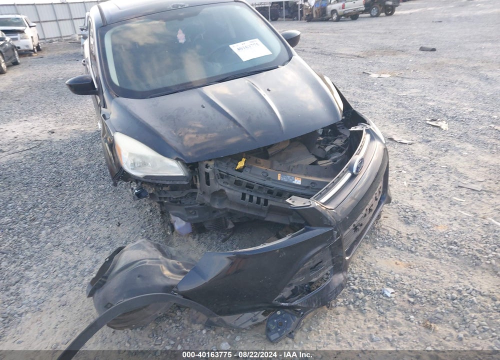 2014 FORD ESCAPE SE VIN: 1FMCU0G91EUA23109