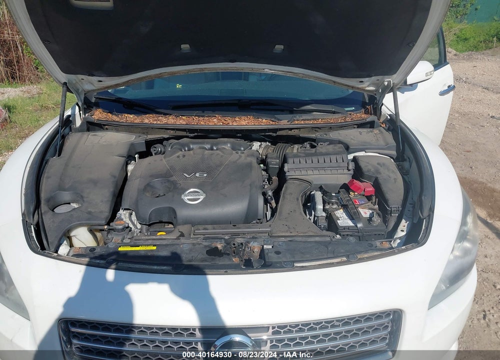 2009 NISSAN MAXIMA VIN: 1N4AA51E49C812878