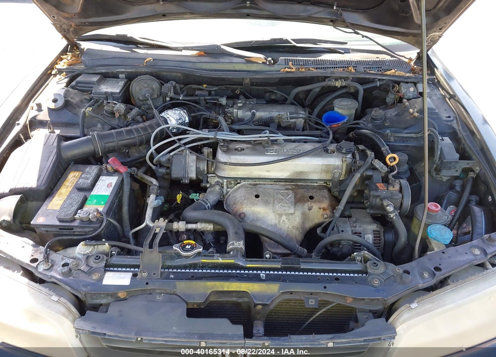 1996 HONDA ACCORD LX/EX VIN: 1HGCD5631TA206959