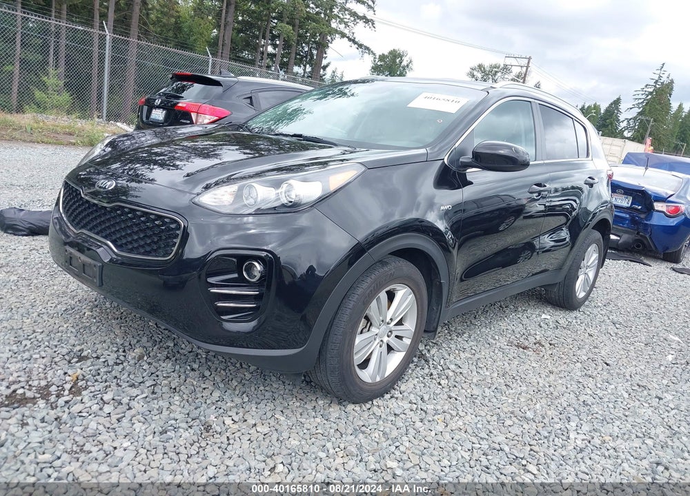2017 KIA SPORTAGE LX VIN: KNDPMCAC5H7244694