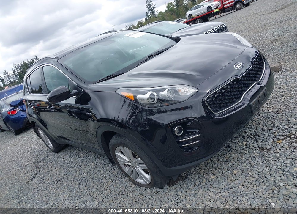 2017 KIA SPORTAGE LX VIN: KNDPMCAC5H7244694