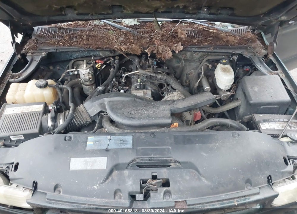 2004 CHEVROLET TAHOE Z71 VIN: 1GNEK13Z34R100909
