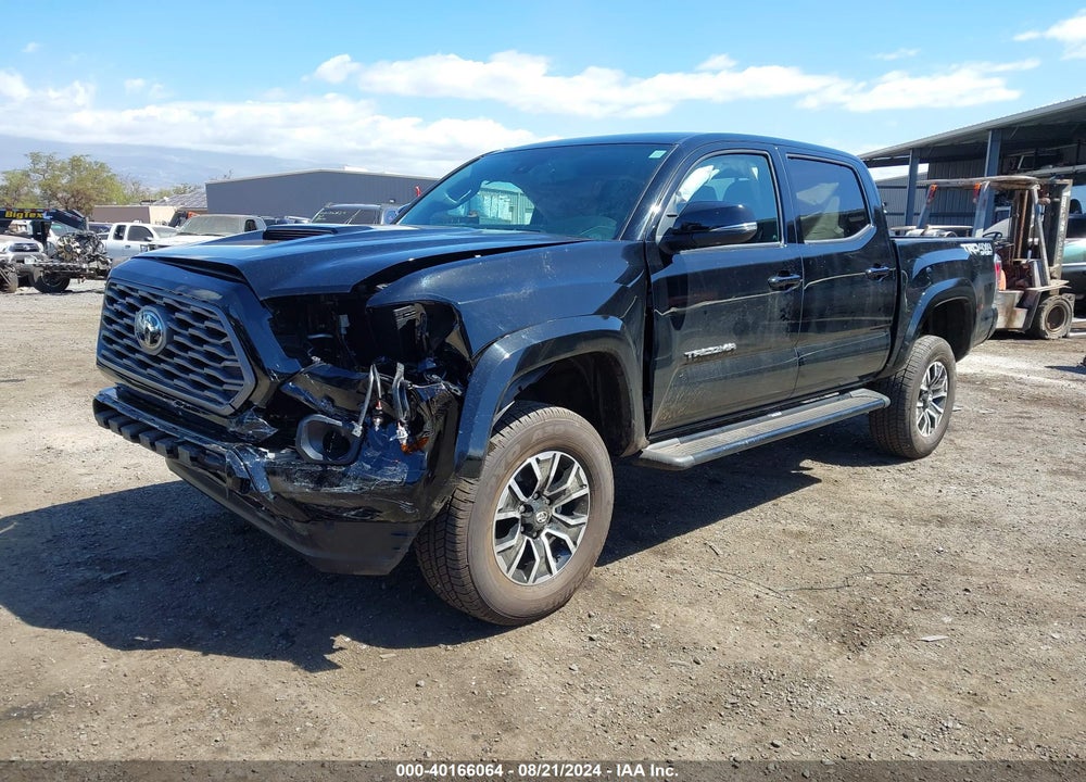 2023 TOYOTA TACOMA SR V6/SR5 V6/TRAIL EDITION/TRD OFF ROAD/TRD PRO/TRD SPORT VIN: 3TYCZ5AN7PT172628