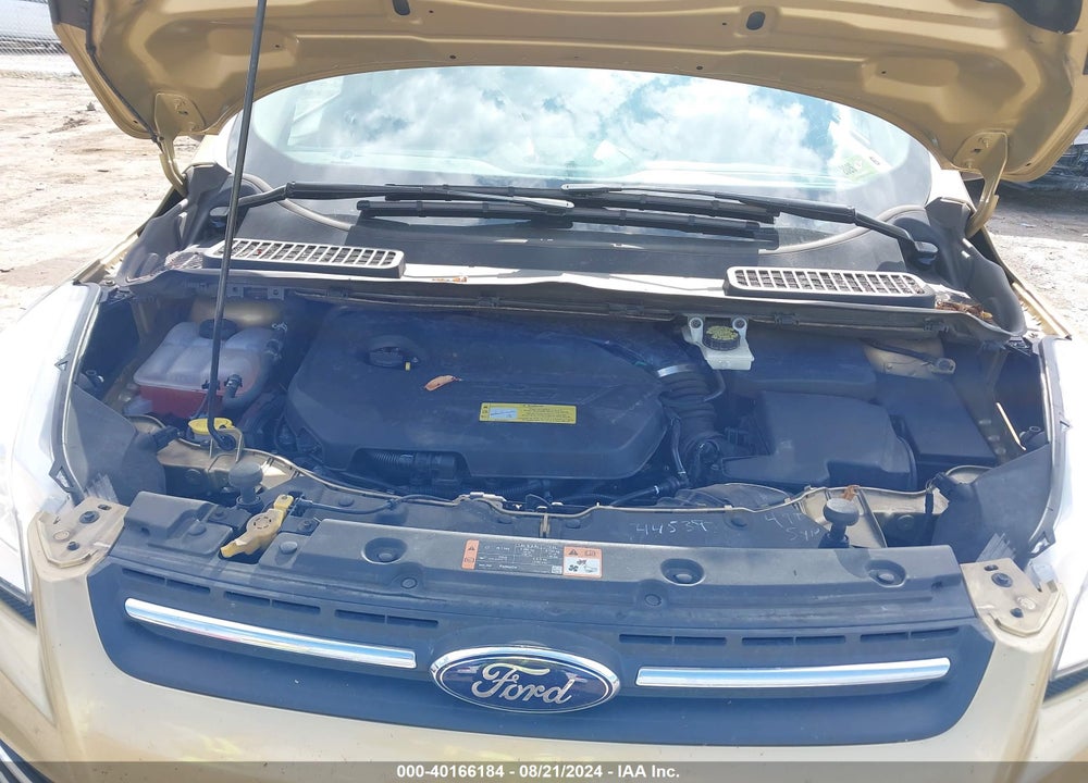 2014 FORD ESCAPE SE VIN: 1FMCU9GX2EUC28800