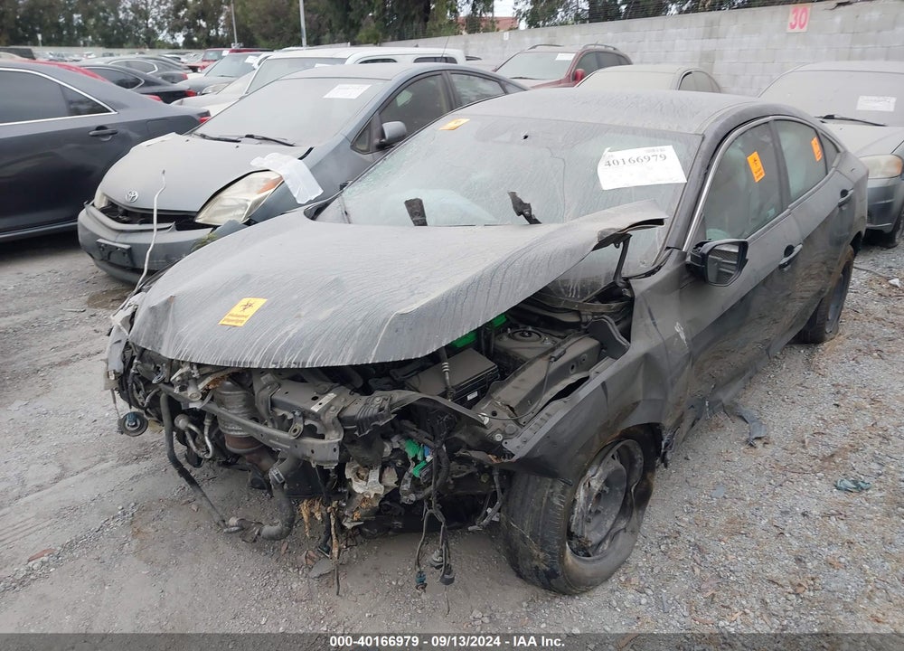 2019 HONDA CIVIC LX VIN: 2HGFC2F62KH594843
