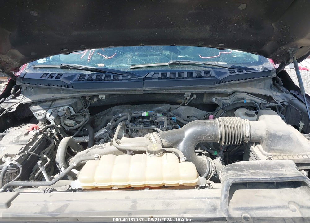 2019 FORD F-150 XLT VIN: 1FTEW1EP2KKE96135
