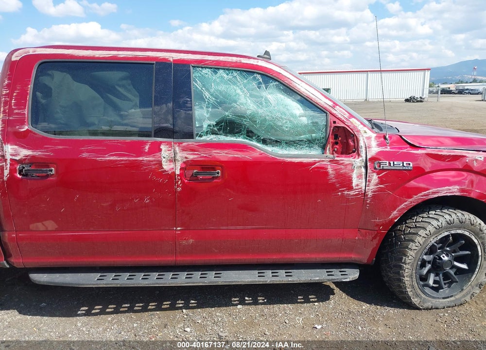 2019 FORD F-150 XLT VIN: 1FTEW1EP2KKE96135