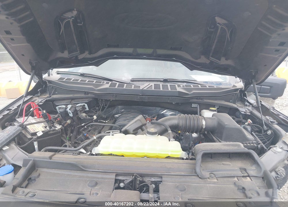 2023 FORD F-150 XLT VIN: 1FTFW1E56PFB75461