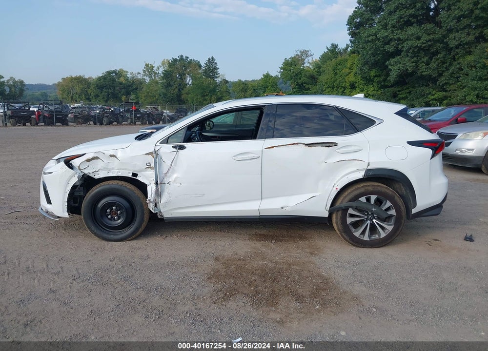 2019 LEXUS NX 300 F-SPORT VIN: JTJBARBZ3K2184246