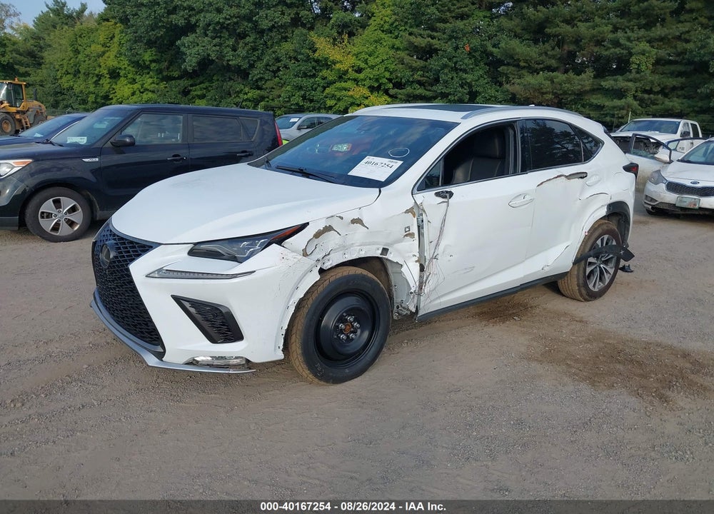 2019 LEXUS NX 300 F-SPORT VIN: JTJBARBZ3K2184246