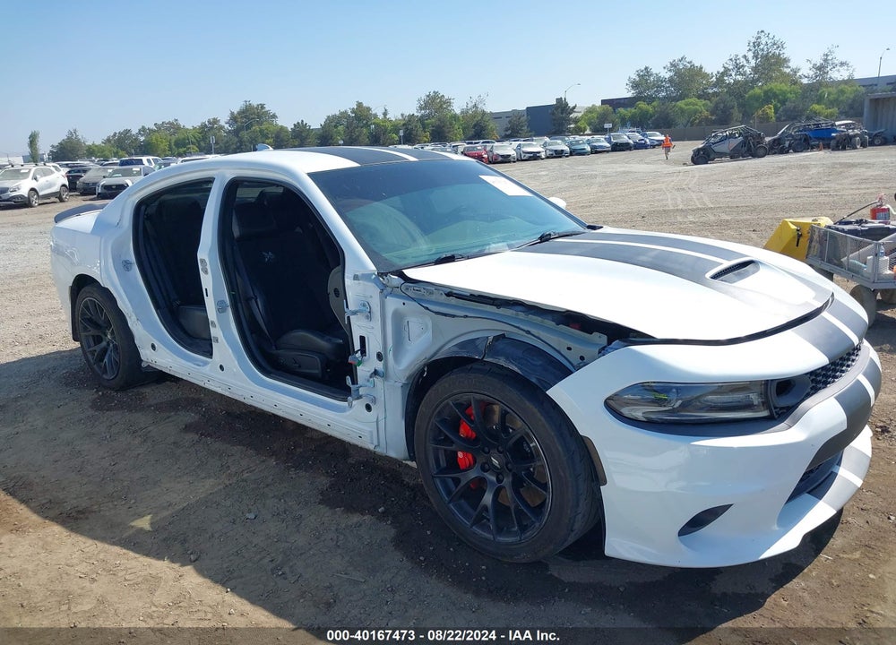 2019 DODGE CHARGER SCAT PACK RWD VIN: 2C3CDXGJ7KH734842
