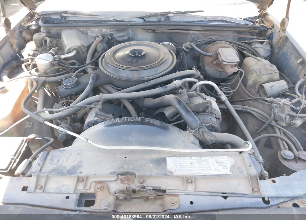 1981 CHEVROLET EL CAMINO VIN: 1GCCW80HXBZ407242