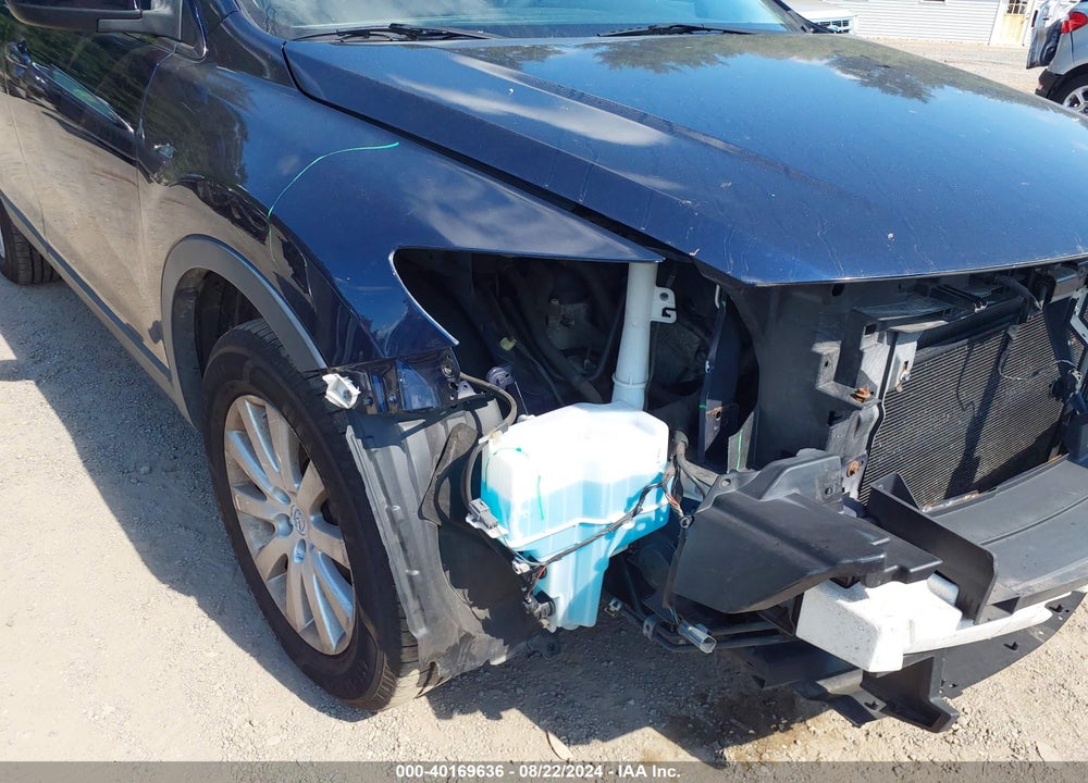 2010 MAZDA CX-9 SPORT VIN: JM3TB3MVXA0218843