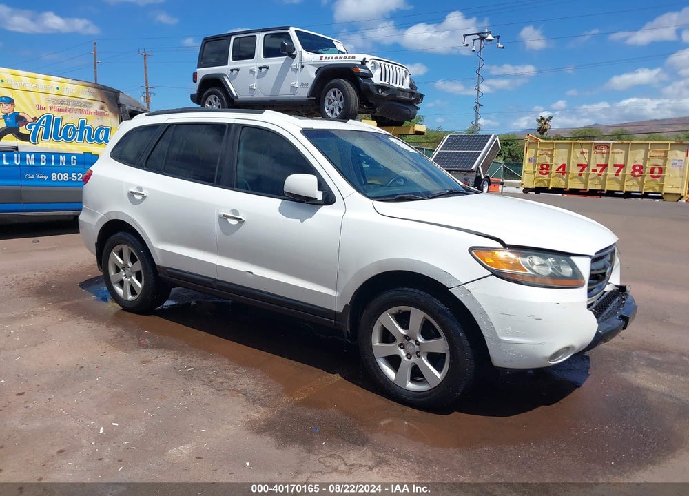 2007 HYUNDAI SANTA FE LIMITED/SE VIN: 5NMSH13E67H021881