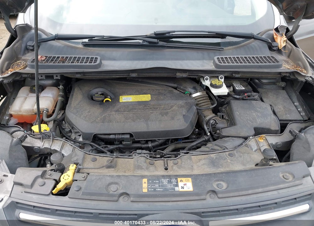 2014 FORD ESCAPE SE VIN: 1FMCU0GX2EUB12816
