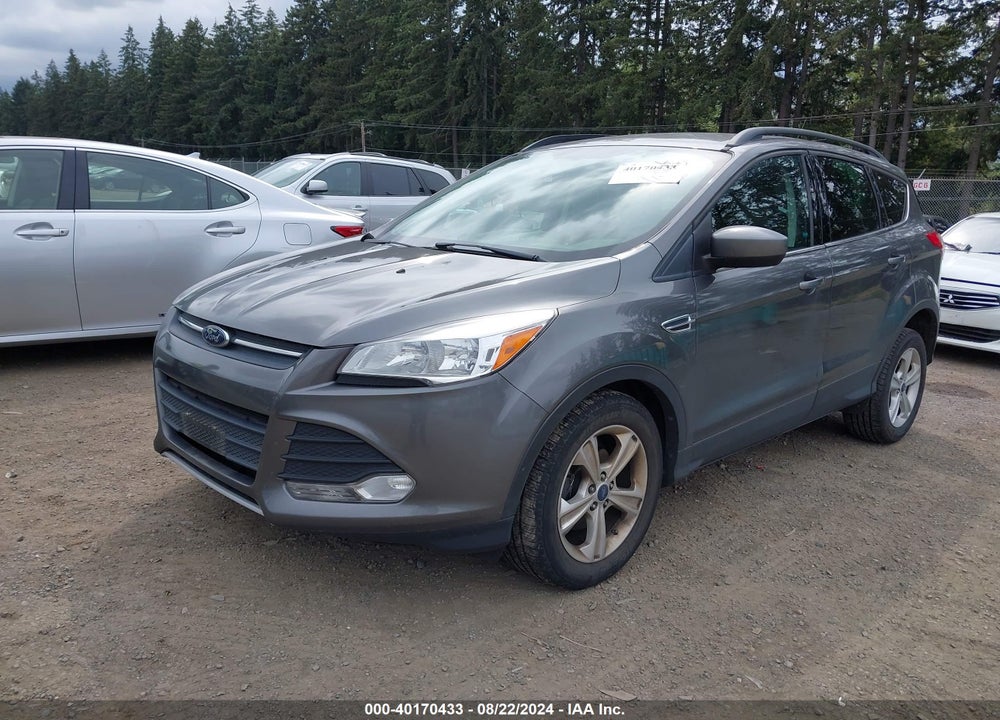 2014 FORD ESCAPE SE VIN: 1FMCU0GX2EUB12816