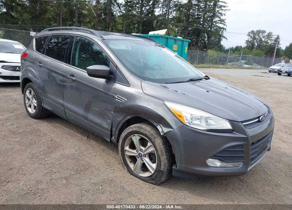 2014 FORD ESCAPE SE VIN: 1FMCU0GX2EUB12816