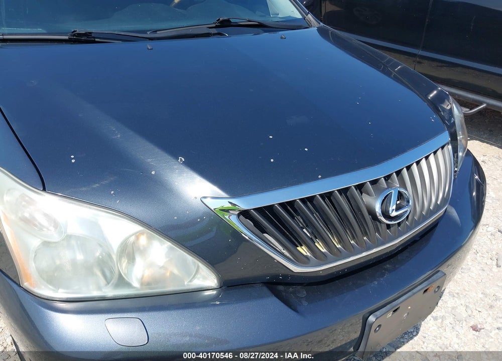 2009 LEXUS RX 350 VIN: 2T2HK31U99C116859