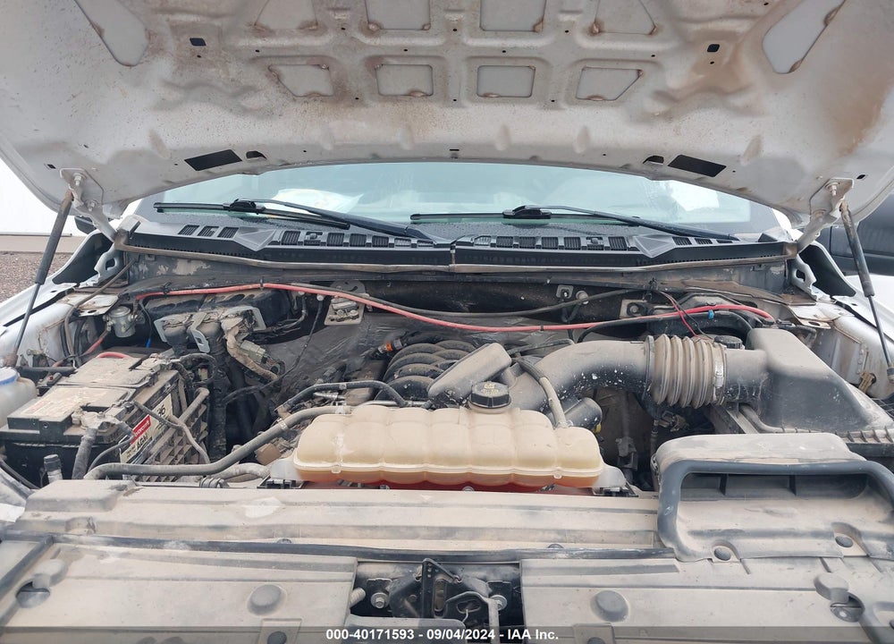 2019 FORD F-150 XL VIN: 1FTFX1E55KKD17389