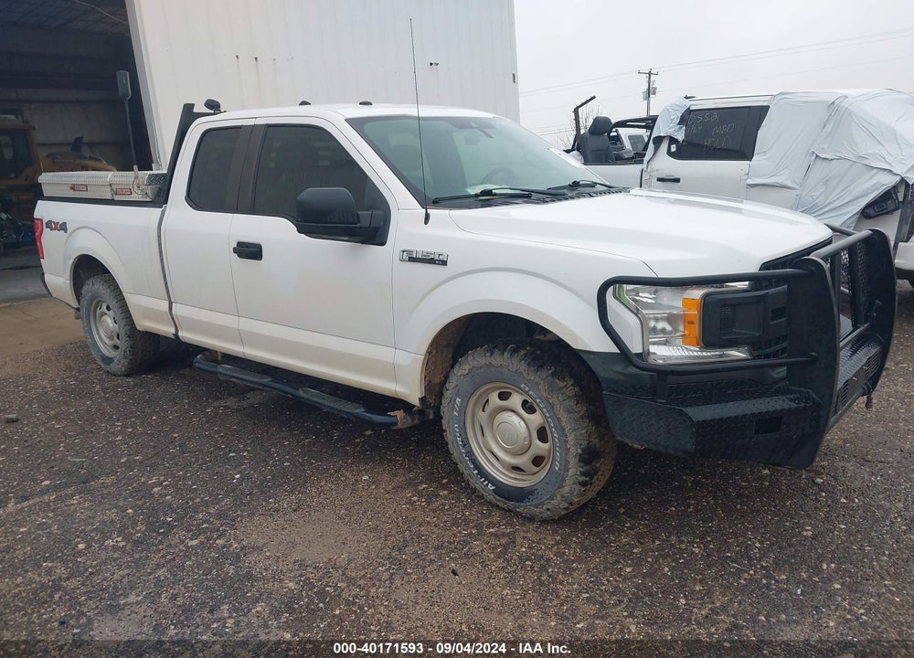 2019 FORD F-150 XL VIN: 1FTFX1E55KKD17389
