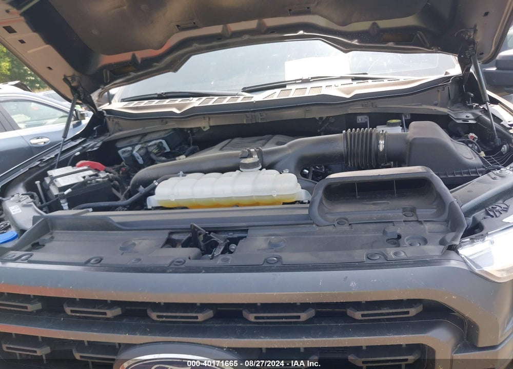 2023 FORD F-150 XLT VIN: 1FTFW1E81PFD24028