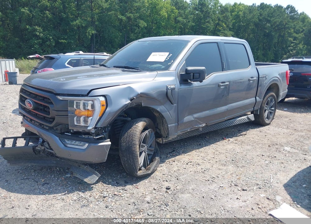 2023 FORD F-150 XLT VIN: 1FTFW1E81PFD24028