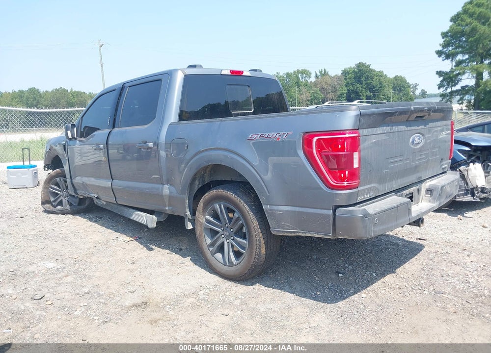 2023 FORD F-150 XLT VIN: 1FTFW1E81PFD24028
