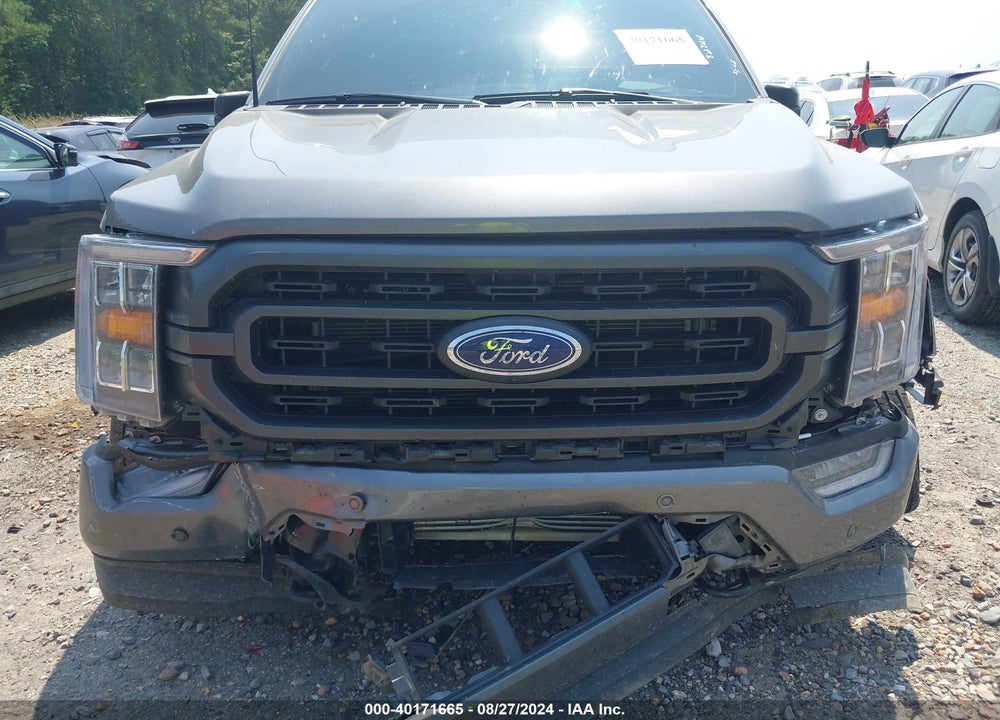 2023 FORD F-150 XLT VIN: 1FTFW1E81PFD24028