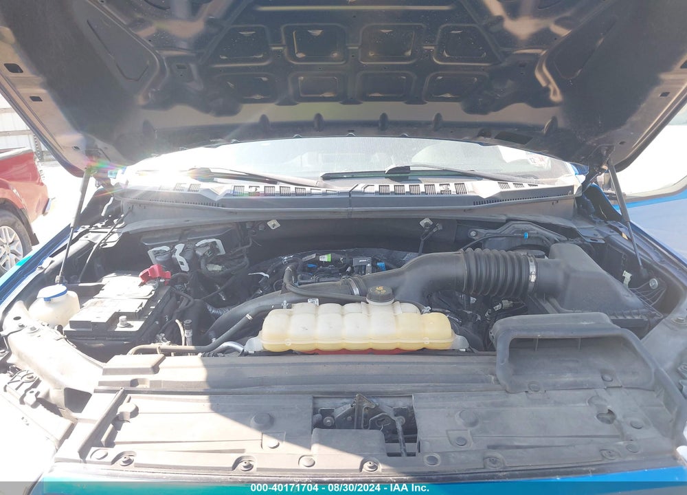 2019 FORD F-150 XL VIN: 1FTEW1EP8KFA11795