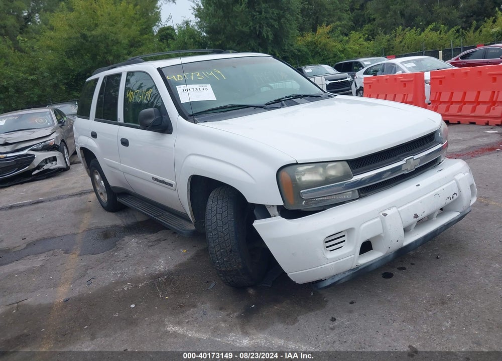 2002 CHEVROLET TRAILBLAZER LS VIN: 1GNDT13S422224365