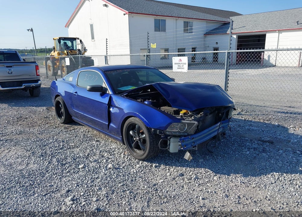 2014 FORD MUSTANG V6 VIN: 1ZVBP8AM3E5329884