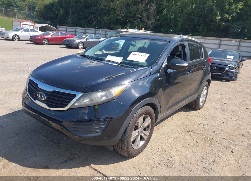 2011 KIA SPORTAGE LX VIN: KNDPBCA27B7023151