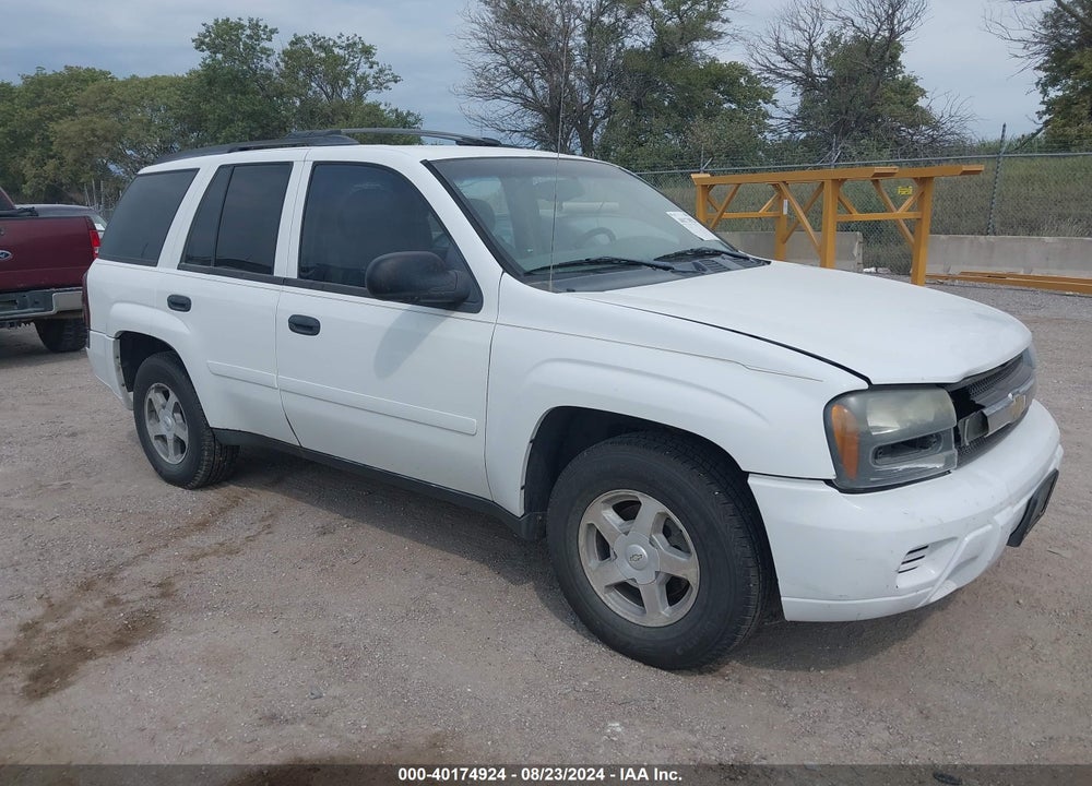 2006 CHEVROLET TRAILBLAZER LS VIN: 1GNDT13S462204087