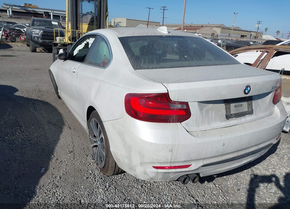 2016 BMW 228I VIN: WBA1F9C55GV545605