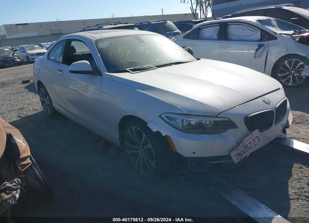2016 BMW 228I VIN: WBA1F9C55GV545605