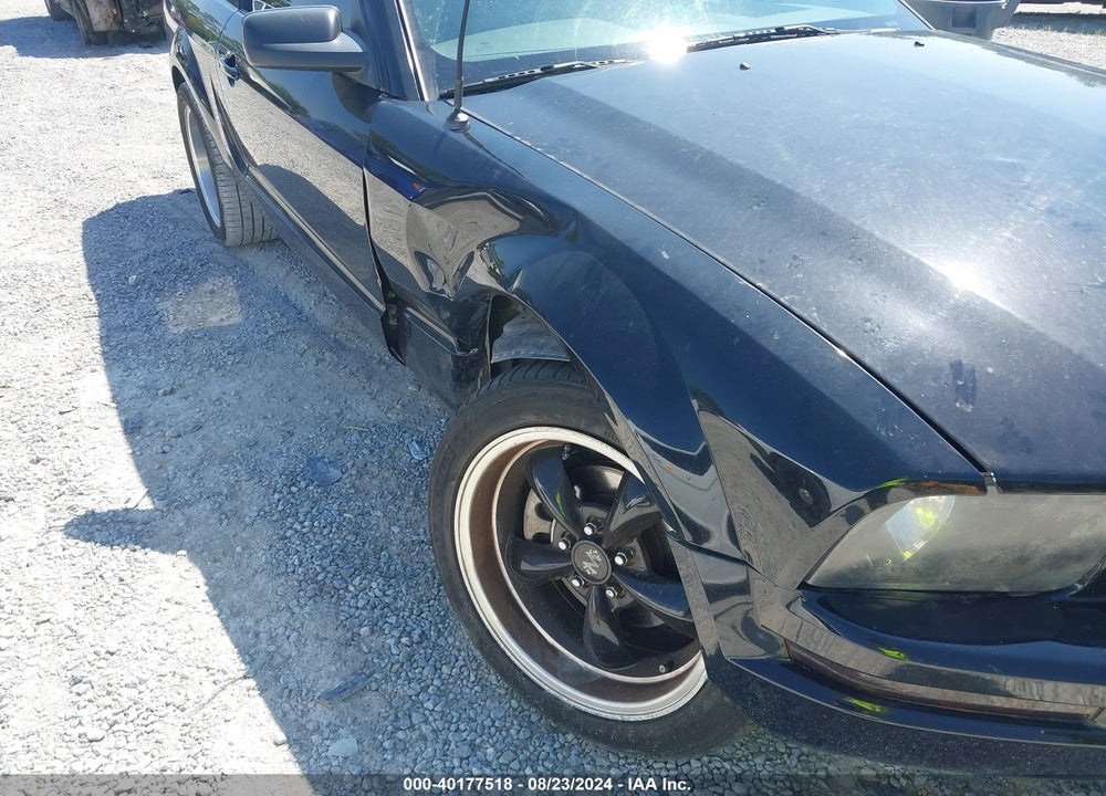 2007 FORD MUSTANG VIN: 1ZVFT80N375281801