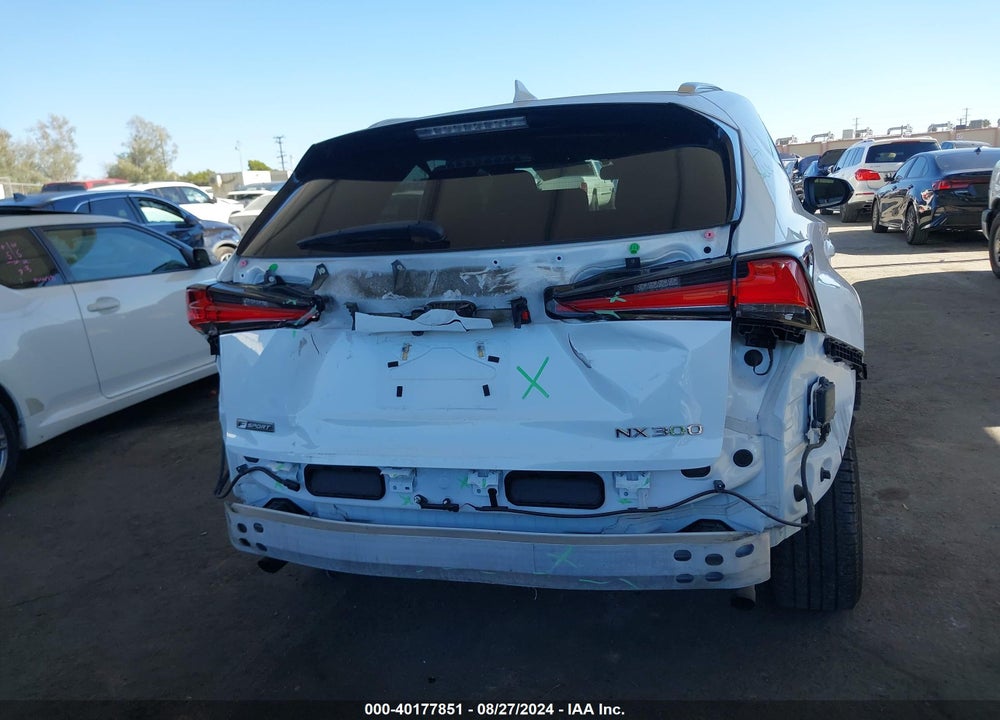 2019 LEXUS NX 300 F-SPORT VIN: JTJYARBZ9K2134350