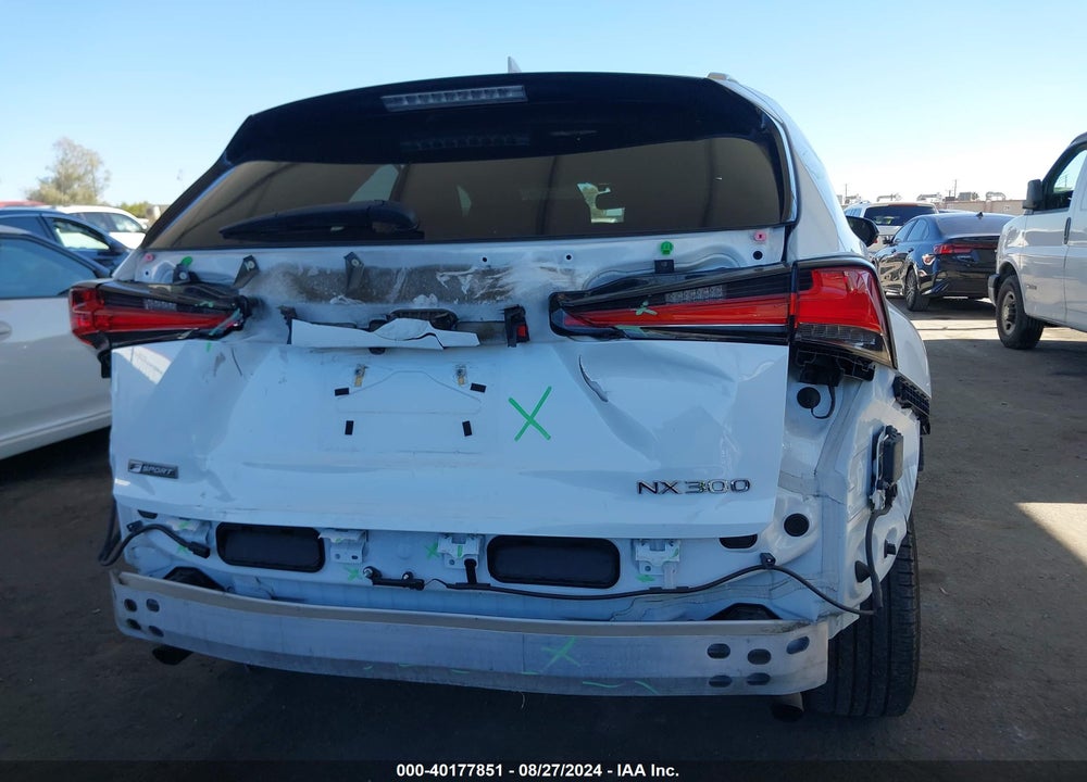 2019 LEXUS NX 300 F-SPORT VIN: JTJYARBZ9K2134350