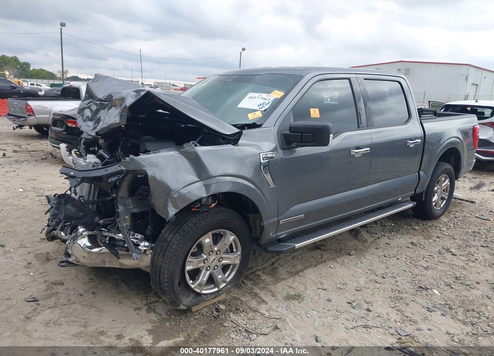2023 FORD F-150 XLT VIN: 1FTFW1ED2PFC83583