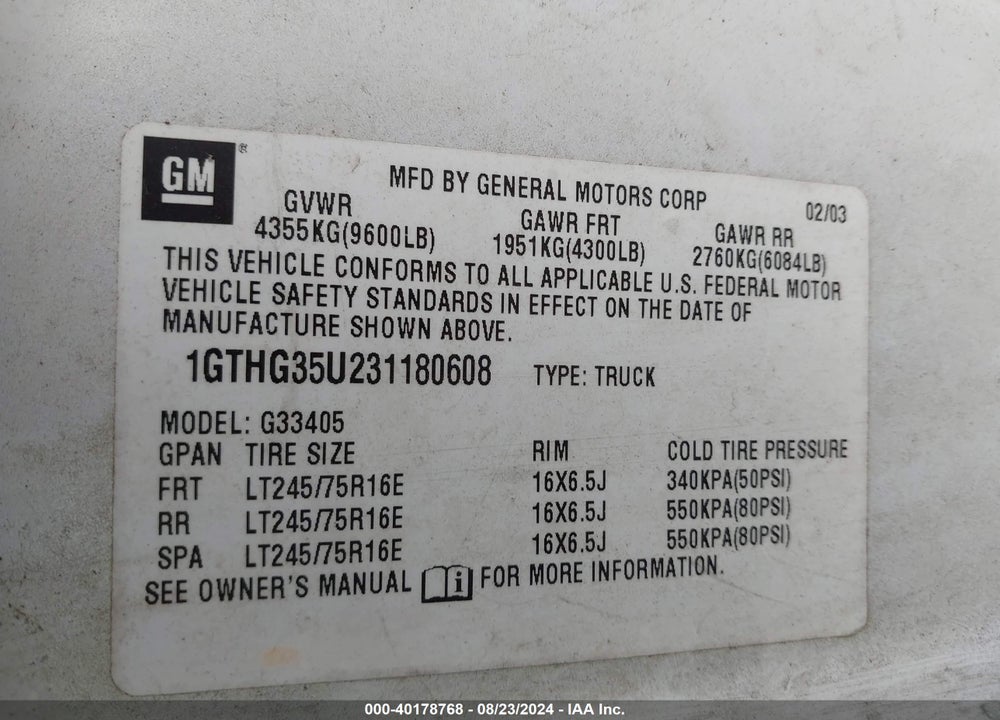 2003 GMC SAVANA STANDARD VIN: 1GTHG35U231180608
