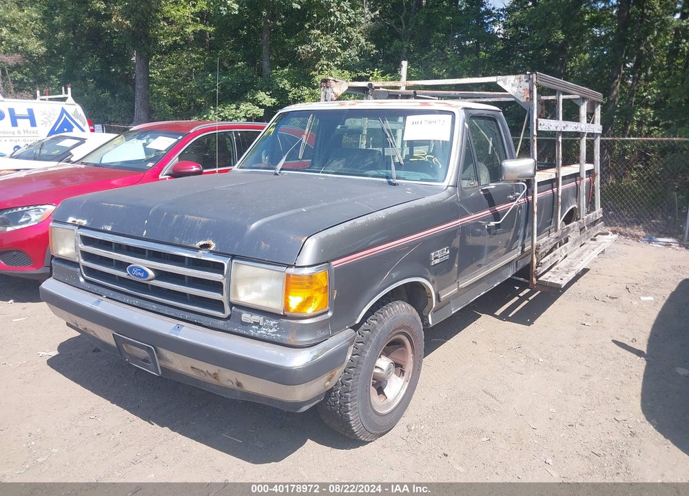 1991 FORD F150 VIN: 1FTEF15YXMNA35551