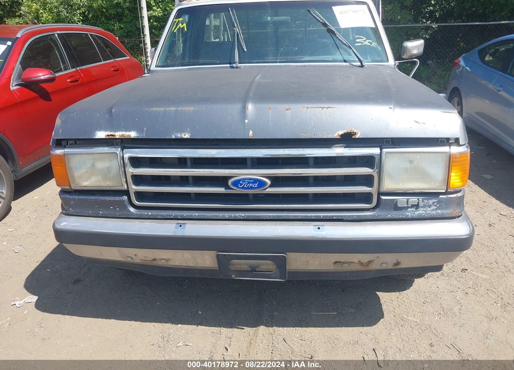 1991 FORD F150 VIN: 1FTEF15YXMNA35551