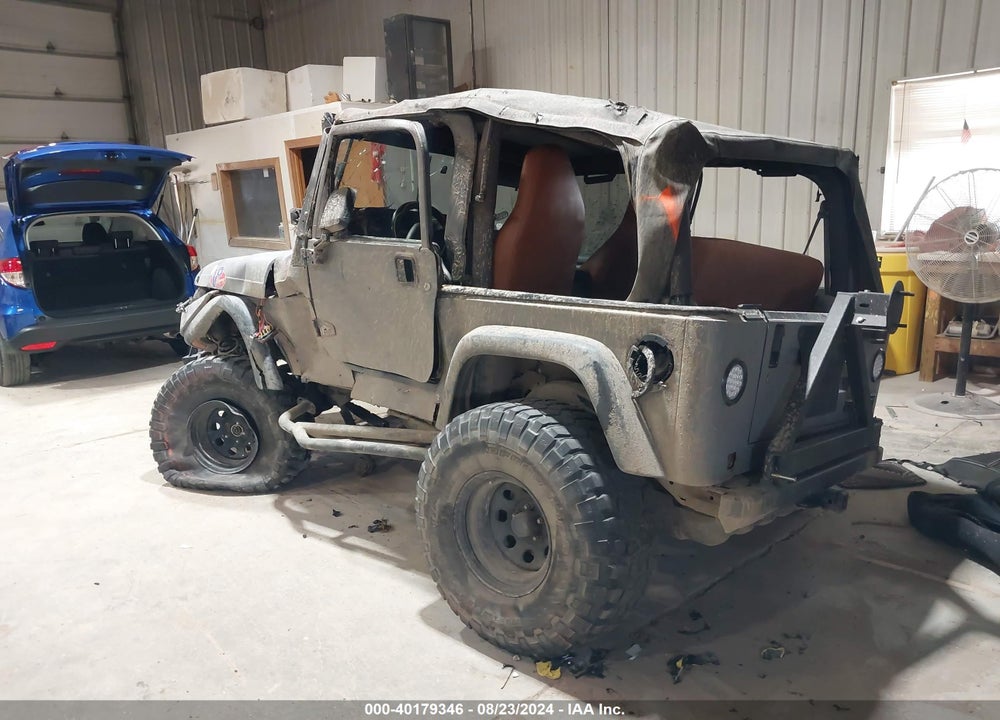 2002 JEEP WRANGLER X VIN: 1J4FA39SX2P750961